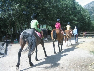  Saímos com os cavalos 